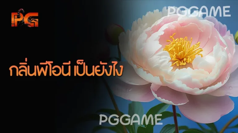 กลิ่นพีโอนี เป็นยังไง