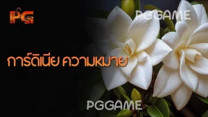 การ์ดิเนีย ความหมาย