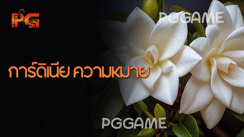 การ์ดิเนีย ความหมาย