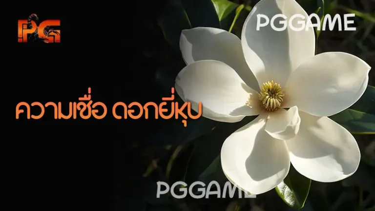 ความเชื่อ ดอกยี่หุบ