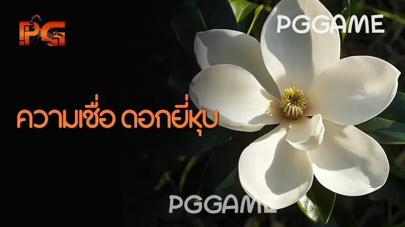 ความเชื่อ ดอกยี่หุบ