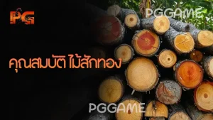 คุณสมบัติ ไม้สักทอง