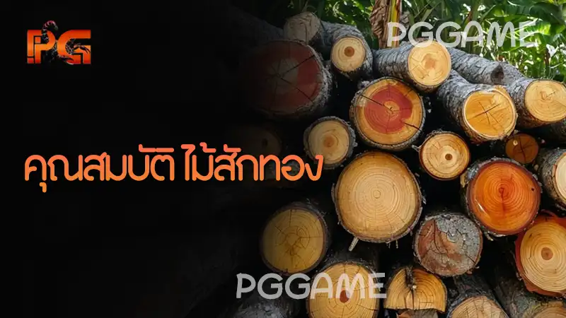 คุณสมบัติ ไม้สักทอง