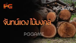 จันทน์แดง ไม้มงคล