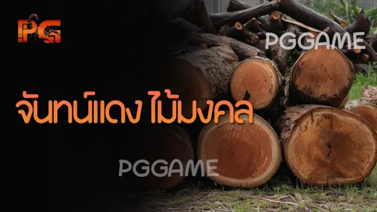 จันทน์แดง ไม้มงคล