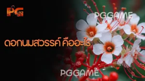 ดอกนมสวรรค์ คืออะไร