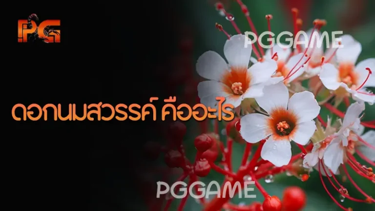 ดอกนมสวรรค์ คืออะไร