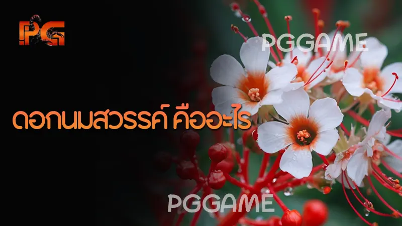 ดอกนมสวรรค์ คืออะไร