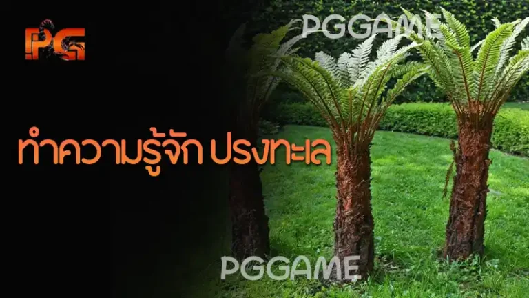 ทำความรู้จัก ปรงทะเล