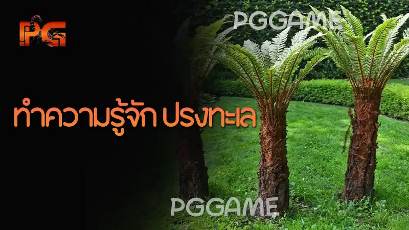 ทำความรู้จัก ปรงทะเล