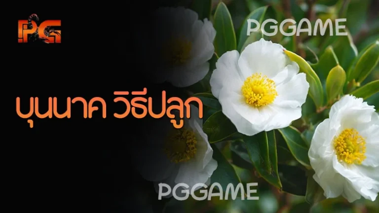 บุนนาค วิธีปลูก