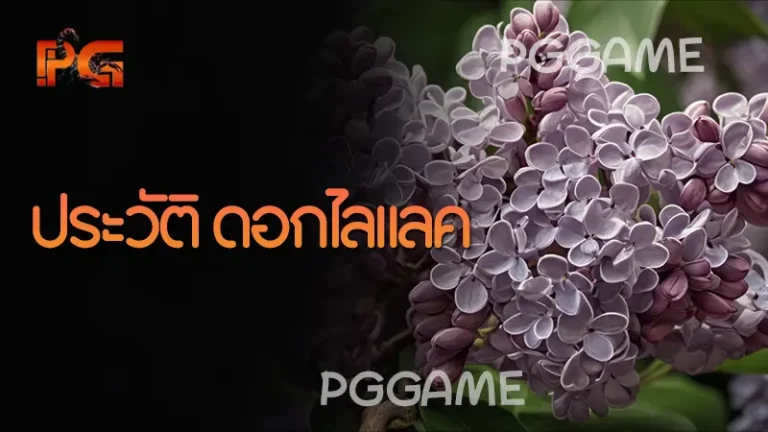 ประวัติ ดอกไลแลค