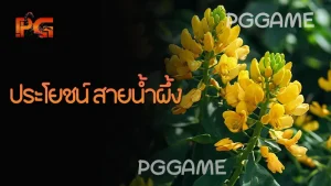 ประโยชน์ สายน้ำผึ้ง