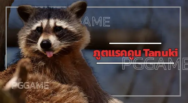ภูตแรคคูน Tanuki
