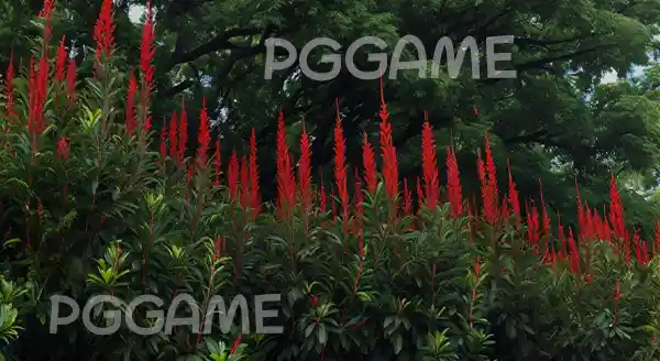 ย่านางแดง คืออะไร