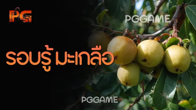 รอบรู้ มะเกลือ