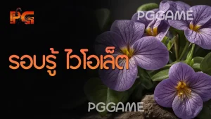 รอบรู้ ไวโอเล็ต