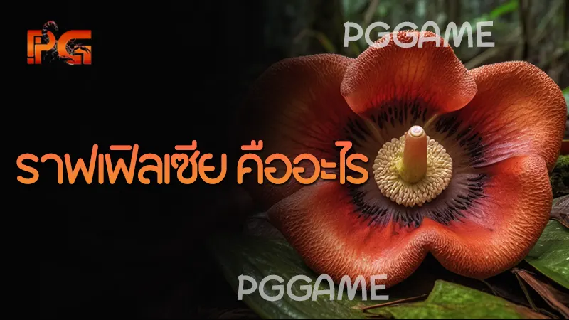 ราฟเฟิลเซีย คืออะไร