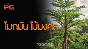 โมกมัน ไม้มงคล