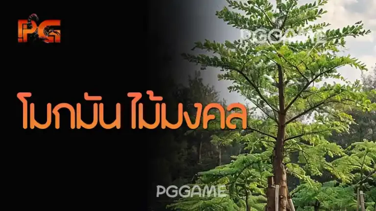 โมกมัน ไม้มงคล