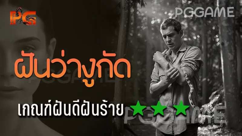 ฝันว่างูกัด