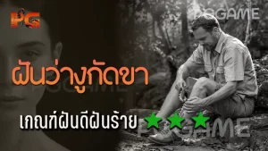 ฝันว่างูกัดขา
