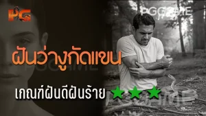 ฝันว่างูกัดแขน