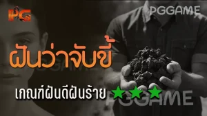 ฝันว่าจับขี้