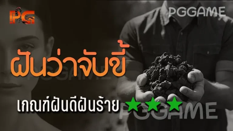 ฝันว่าจับขี้