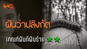 ฝันว่าปลิงกัด