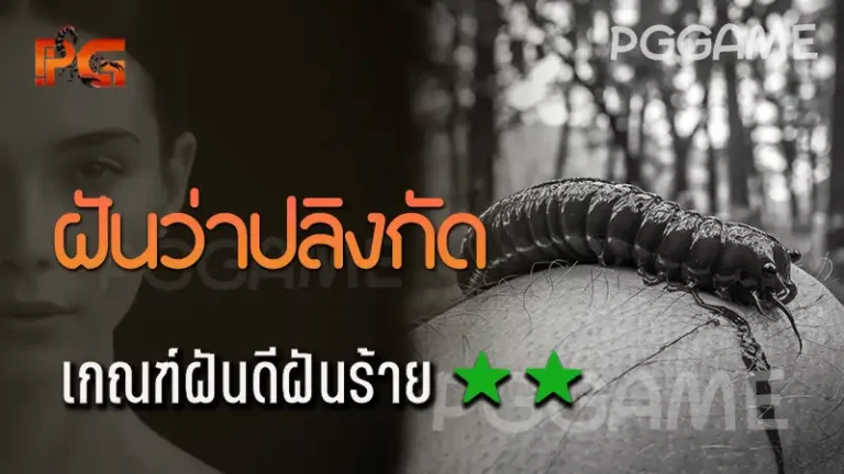 ฝันว่าปลิงกัด