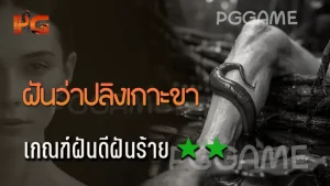 ฝันว่าปลิงเกาะขา