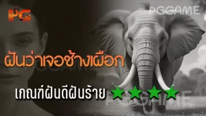 ฝันว่าเจอช้างเผือก