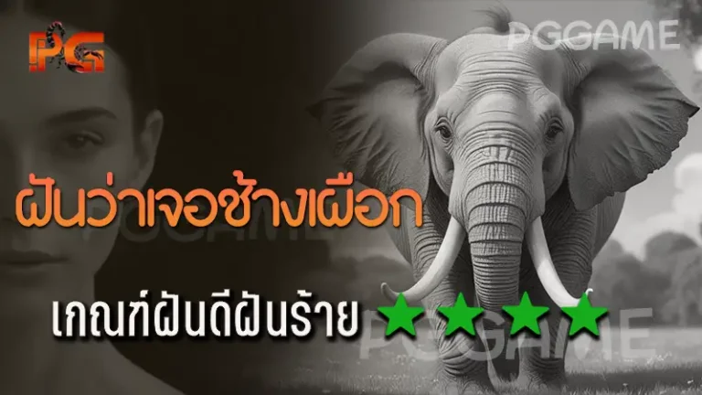 ฝันว่าเจอช้างเผือก