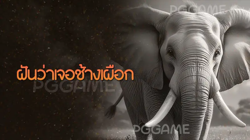 ฝันว่าเจอช้างเผือก