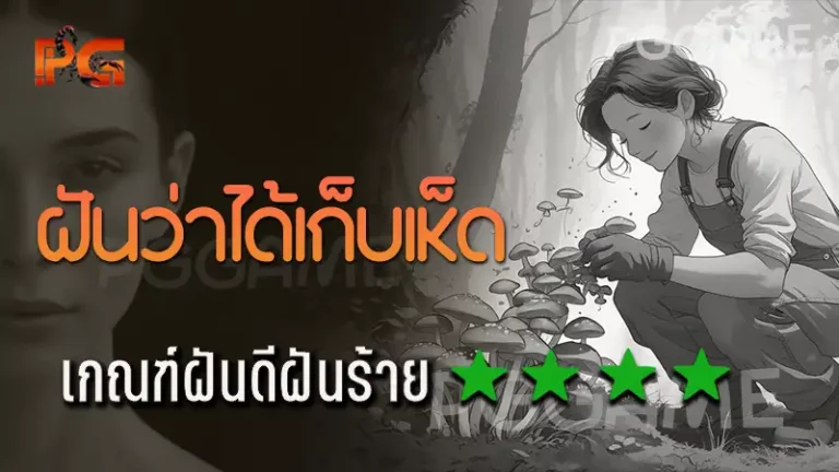 ฝันว่าได้เก็บเห็ด