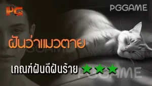 ฝันว่าแมวตาย