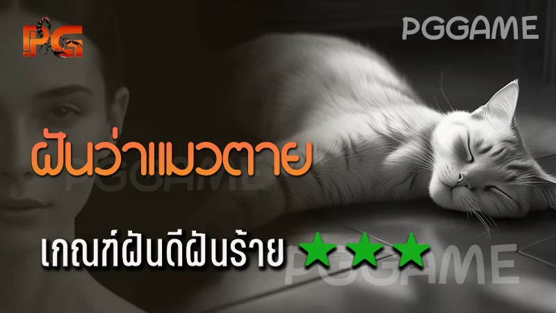 ฝันว่าแมวตาย