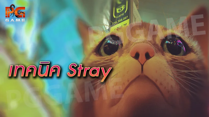 เทคนิค Stray