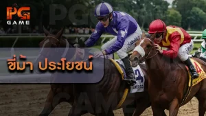 ขี่ม้า ประโยชน์