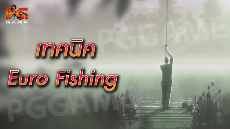 เทคนิค Euro Fishing