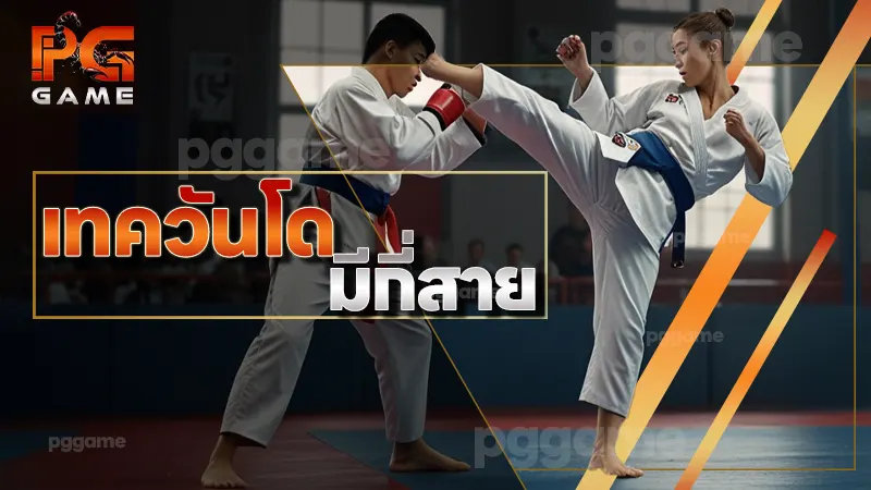 เทควันโด มีกี่สาย