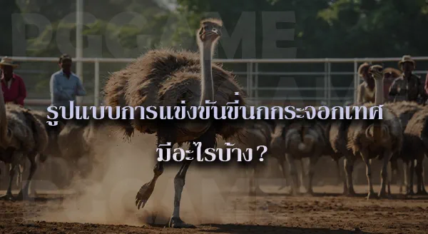 Ostrich Racing คือ