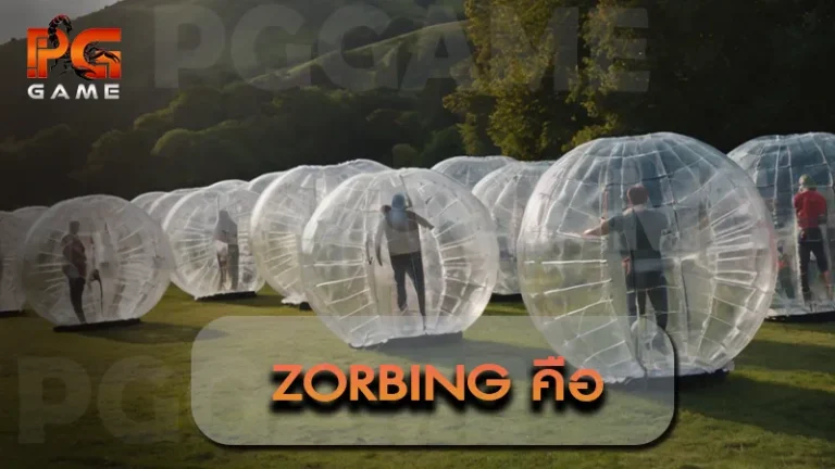 Zorbing คือ