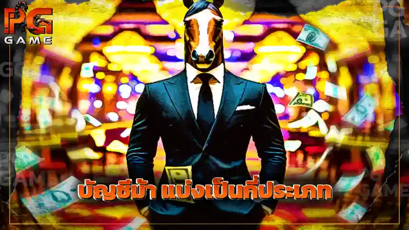 บัญชีม้า แบ่งเป็นกี่ประเภท