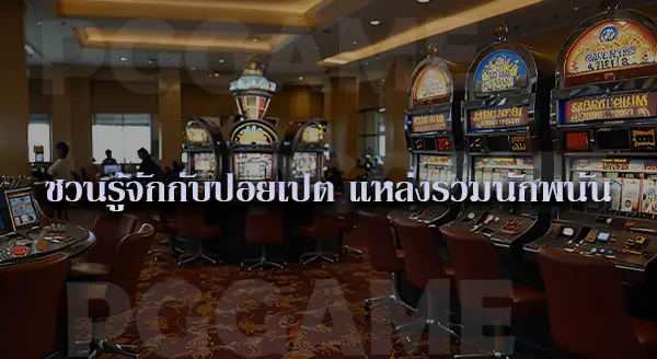 สแกมเมอร์ คืออะไร