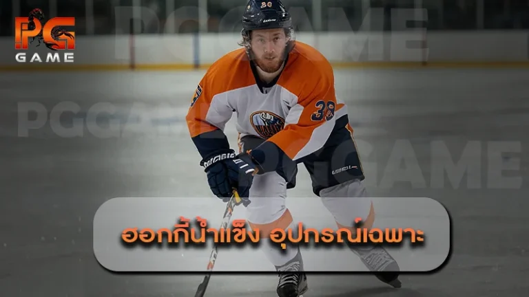 ฮอกกี้น้ำแข็ง อุปกรณ์เฉพาะ