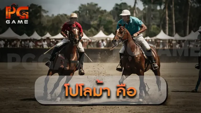 โปโลม้า คือ