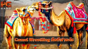 Camel Wrestling คือกีฬาอะไร