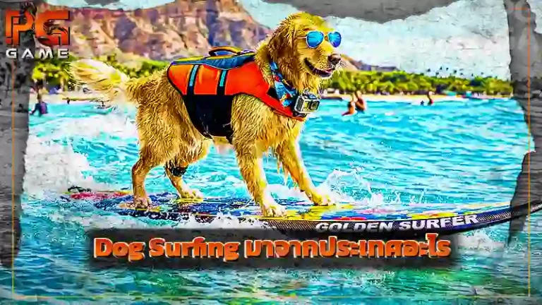 Dog Surfing มาจากประเทศอะไร